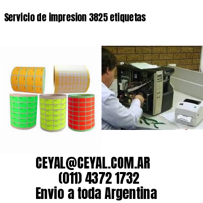 Servicio de impresion 3825 etiquetas