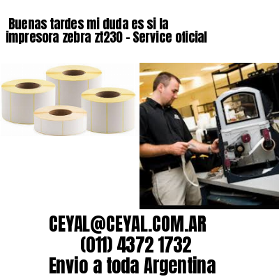 Buenas tardes mi duda es si la impresora zebra zt230 – Service oficial
