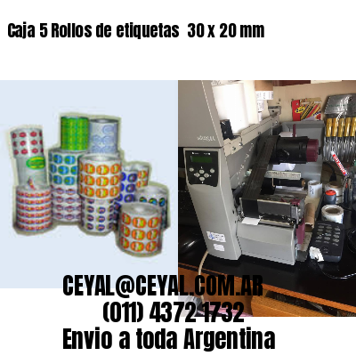 Caja 5 Rollos de etiquetas 	30 x 20 mm