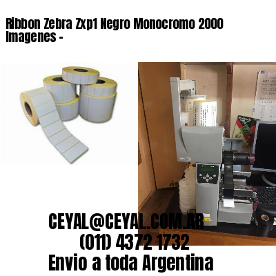 Ribbon Zebra Zxp1 Negro Monocromo 2000 Imagenes –