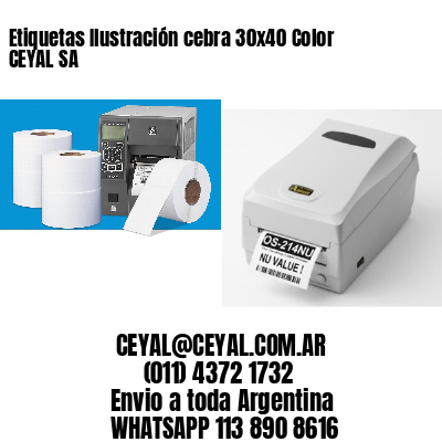 Etiquetas Ilustración cebra 30×40 Color CEYAL SA