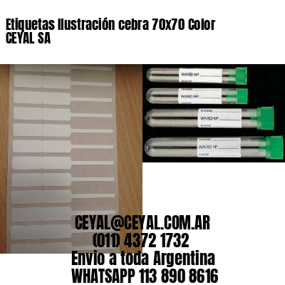 Etiquetas Ilustración cebra 70×70 Color CEYAL SA