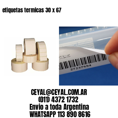 etiquetas termicas 30 x 67