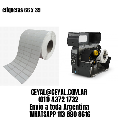 etiquetas 66 x 39