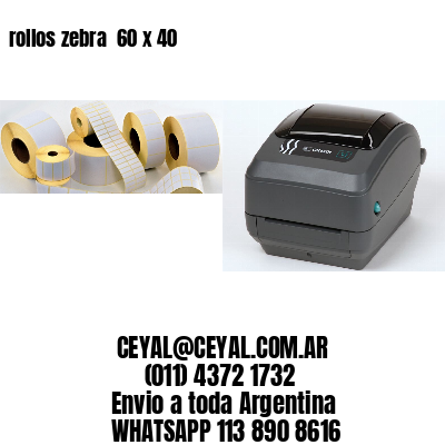 rollos zebra  60 x 40