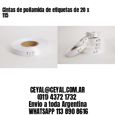 Cintas de poliamida de etiquetas de 20 x 115