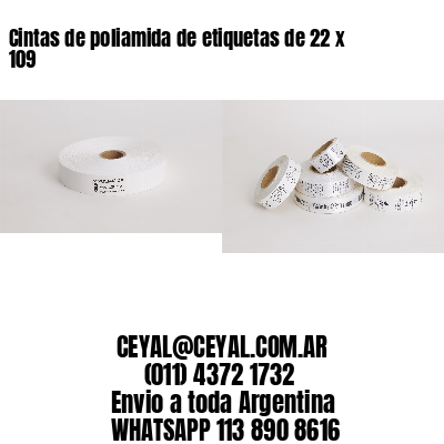 Cintas de poliamida de etiquetas de 22 x 109