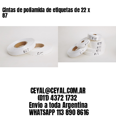 Cintas de poliamida de etiquetas de 22 x 87