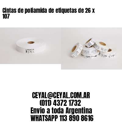 Cintas de poliamida de etiquetas de 26 x 107