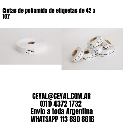 Cintas de poliamida de etiquetas de 42 x 107
