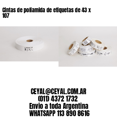 Cintas de poliamida de etiquetas de 43 x 107