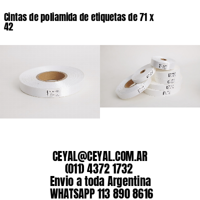 Cintas de poliamida de etiquetas de 71 x 42