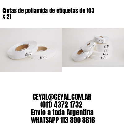 Cintas de poliamida de etiquetas de 103 x 21
