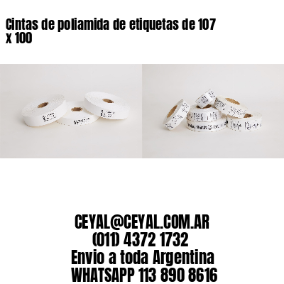 Cintas de poliamida de etiquetas de 107 x 100