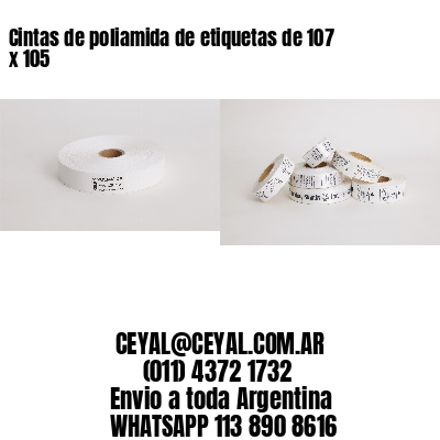 Cintas de poliamida de etiquetas de 107 x 105