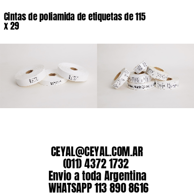 Cintas de poliamida de etiquetas de 115 x 29