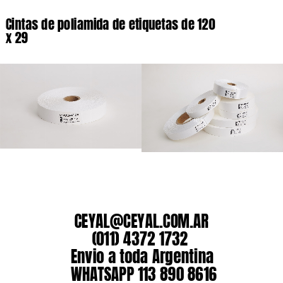 Cintas de poliamida de etiquetas de 120 x 29