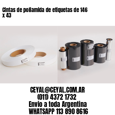Cintas de poliamida de etiquetas de 146 x 43