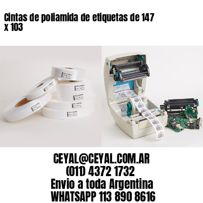 Cintas de poliamida de etiquetas de 147 x 103