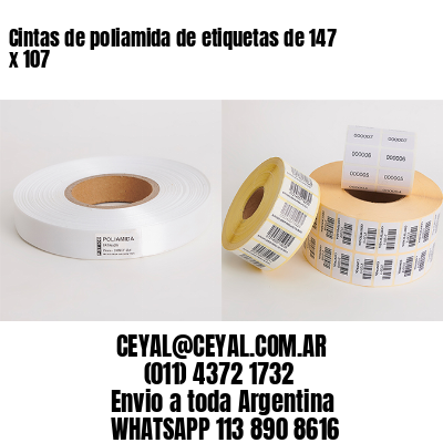 Cintas de poliamida de etiquetas de 147 x 107