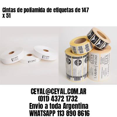 Cintas de poliamida de etiquetas de 147 x 51