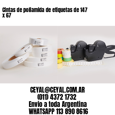 Cintas de poliamida de etiquetas de 147 x 67