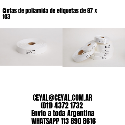 Cintas de poliamida de etiquetas de 87 x 103