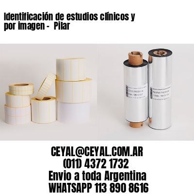 Identificación de estudios clínicos y por imagen –  Pilar