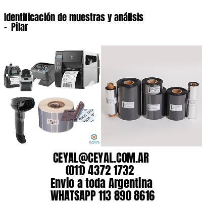 Identificación de muestras y análisis –  Pilar