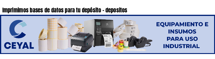 Imprimimos bases de datos para tu depósito - depositos