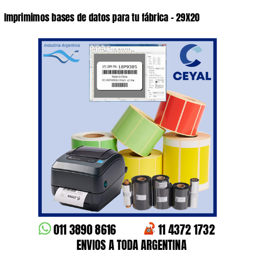 Imprimimos bases de datos para tu fábrica – 29X20