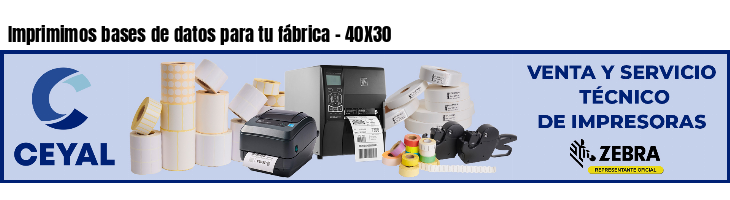 Imprimimos bases de datos para tu fábrica - 40X30