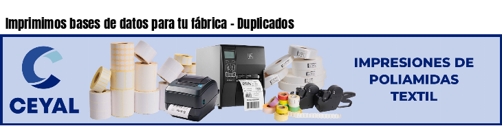 Imprimimos bases de datos para tu fábrica - Duplicados