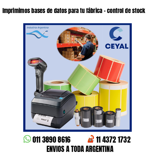 Imprimimos bases de datos para tu fábrica – control de stock