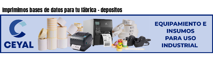 Imprimimos bases de datos para tu fábrica - depositos