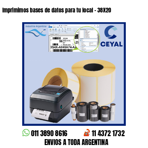 Imprimimos bases de datos para tu local – 38X20