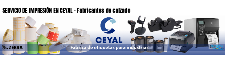 SERVICIO DE IMPRESIÓN EN CEYAL - Fabricantes de calzado