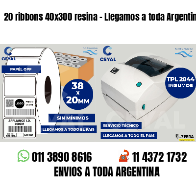 20 ribbons 40x300 resina - Llegamos a toda Argentina