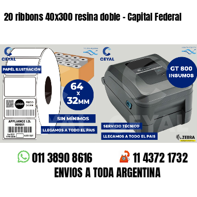 20 ribbons 40x300 resina doble - Capital Federal