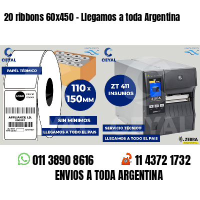 20 ribbons 60x450 - Llegamos a toda Argentina