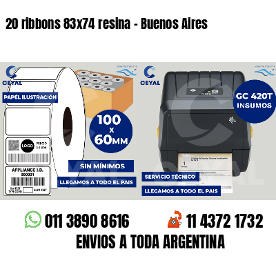 20 ribbons 83x74 resina - Buenos Aires