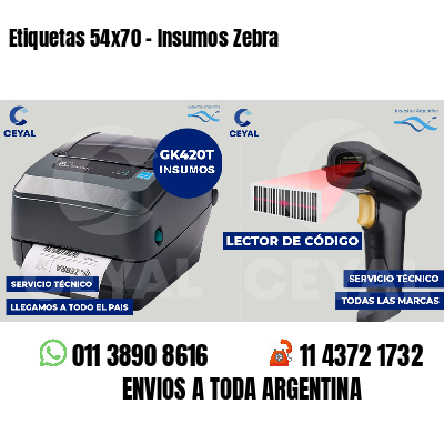 Etiquetas 54x70 - Insumos Zebra