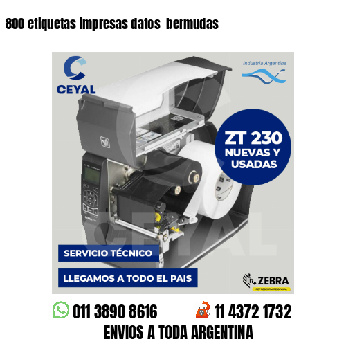 800 etiquetas impresas datos  bermudas