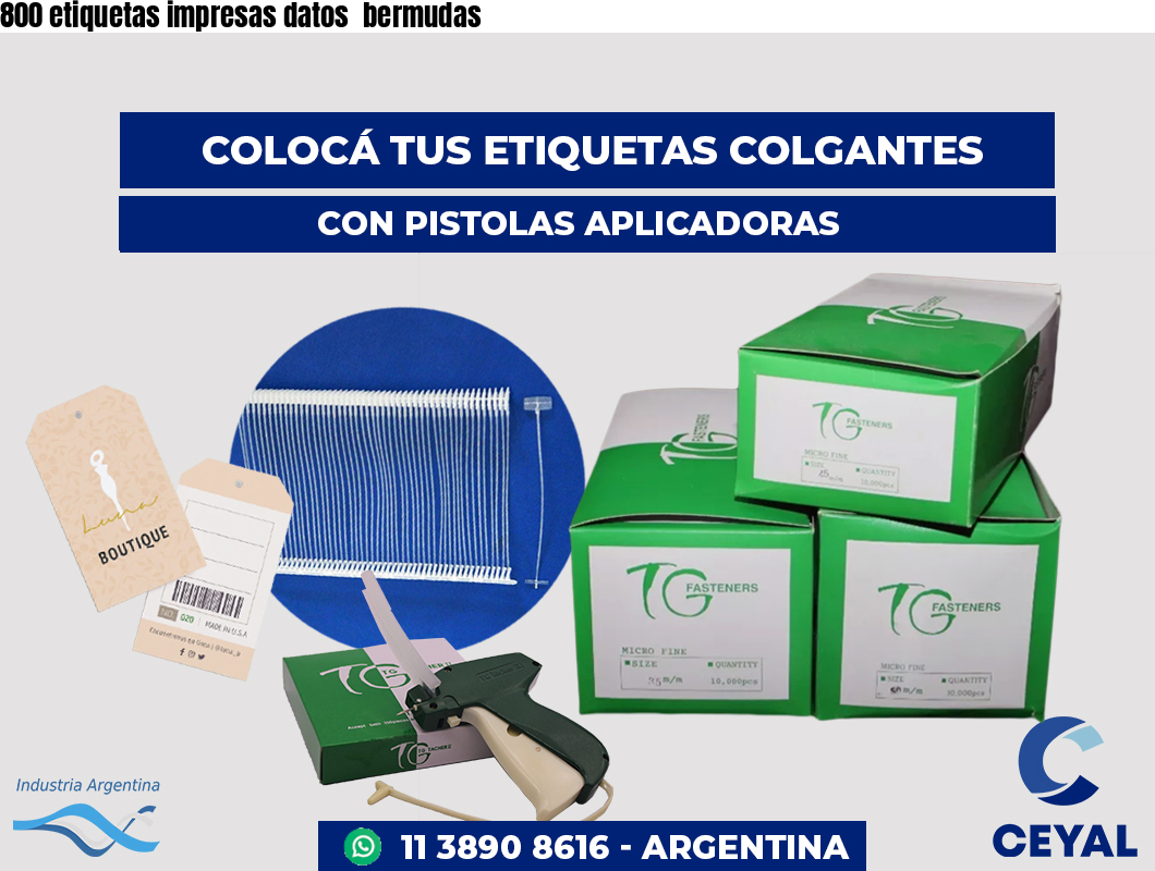 800 etiquetas impresas datos  bermudas