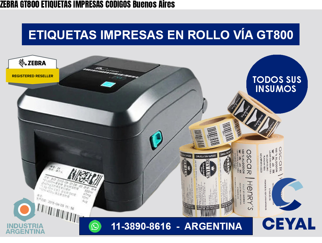 ZEBRA GT800 ETIQUETAS IMPRESAS CODIGOS Buenos Aires