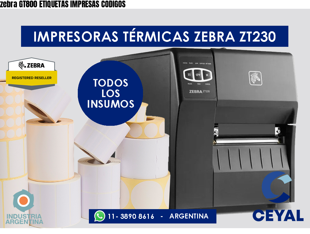 zebra GT800 ETIQUETAS IMPRESAS CODIGOS