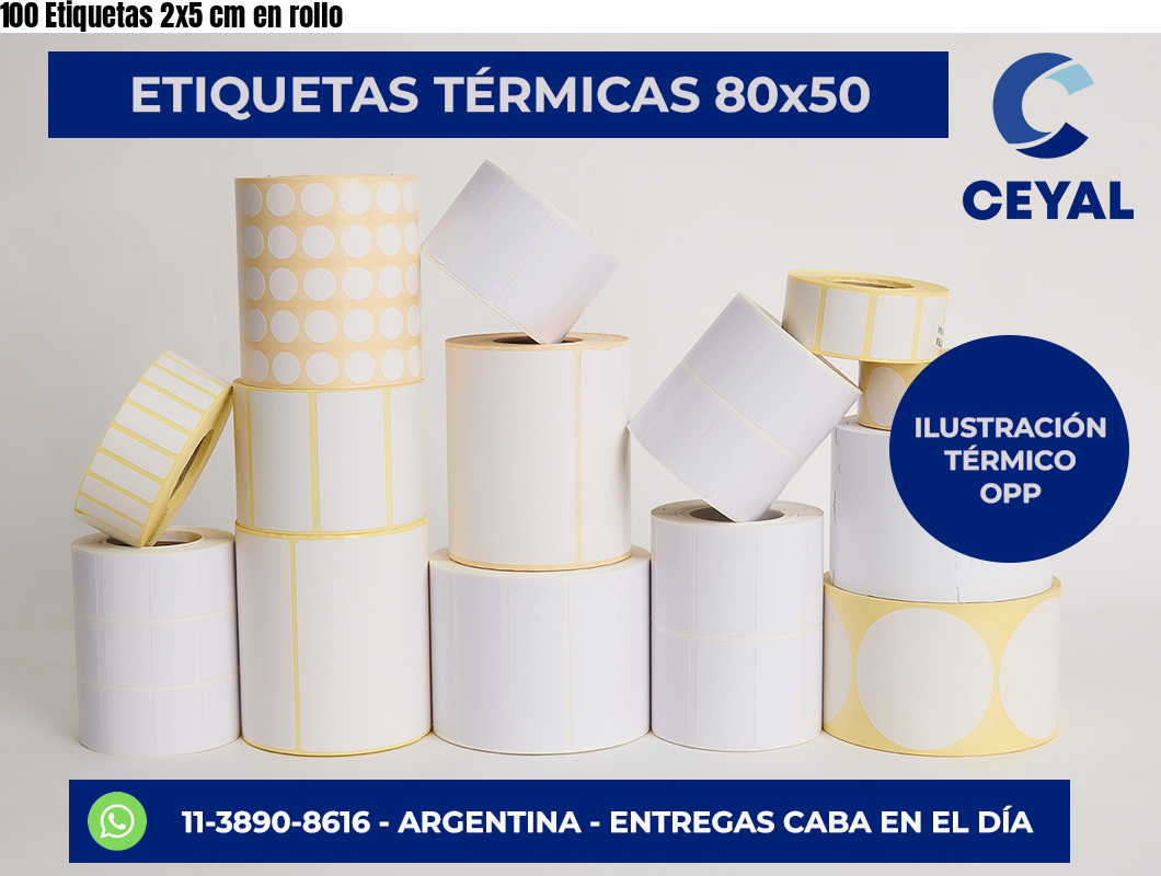 100 Etiquetas 2×5 cm en rollo