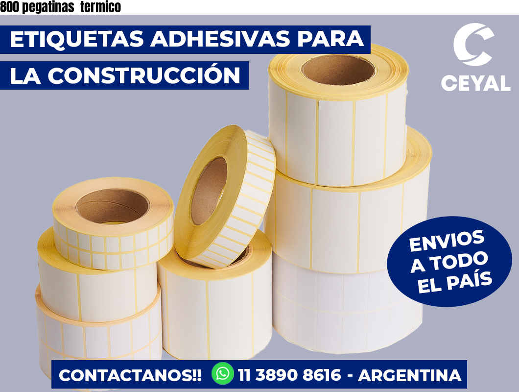 800 pegatinas  termico