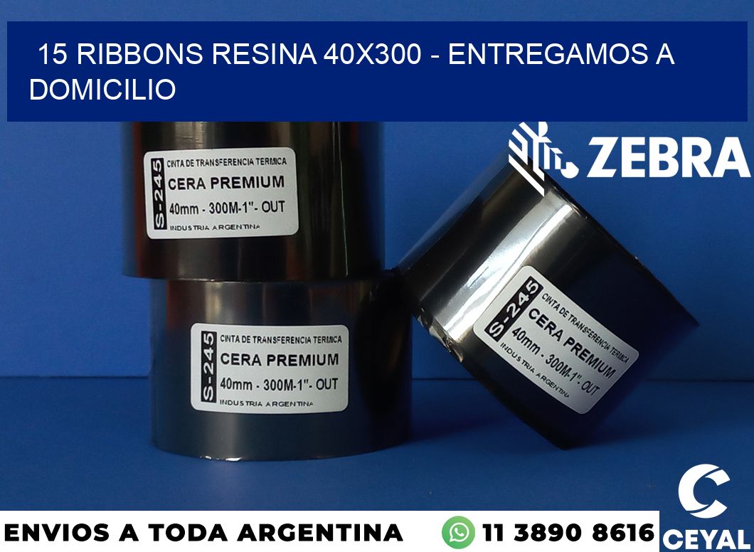 15 Ribbons resina 40x300 - entregamos a domicilio