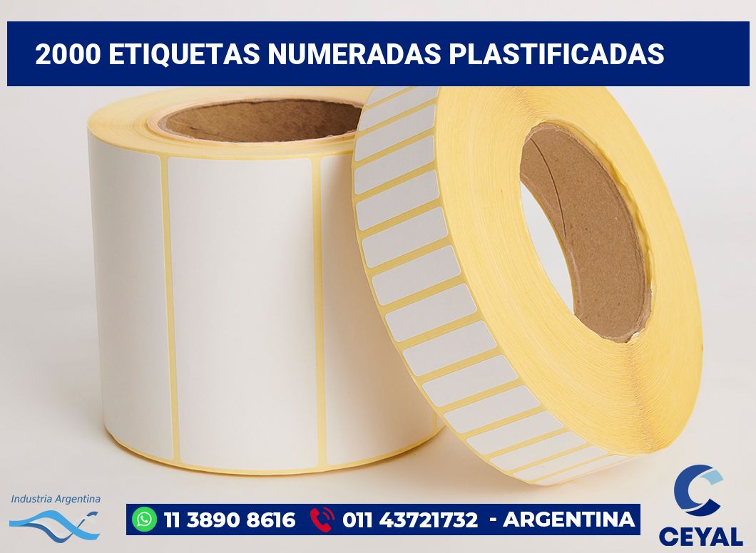 2000 Etiquetas numeradas plastificadas